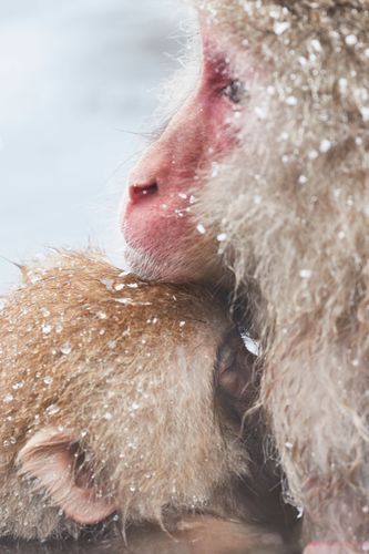 Mdawmdawmdawmdaw7qgraepd6cacehr zcfbfywxu2fyveayeunrgwctqqqltnerwweter6yomfiojy24adow ljj7f22f2vd2s3k0fn 38ezqodftc2xeuhdjufahdziomokxodj3hs jg da6ji5eudq olwagpj5emn5pvk2txd3 f2knabhw79zlkhy1j snrnpaovssro51iscmxpiqaq9nqe7 fuf0wwsvgo24if3xshwb brrckd 6txuuydviaclbmavba9l153bxsrrrdffudqni9susggzbeom6glrbuyor0xho93 vmhy cq8hd5ynz6yyujb0xq9vbq