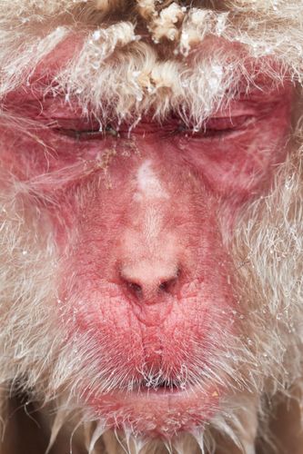 Mdawmdawmdawmdaw7qgraepd6cacehr zcfbfywxu2fyveayeunrgwctqqqltnerwweter6yomfiojy24adow ljj7f22f2vd2s3k0fn 38ezqodftc2xeuhdjufahdziomokxodj3hs jg da6ji5eudq olwagpj5emn5pvk2txd3 f2knabhw79zlkhy1j snrnpaovsvqe11hdb 0 wjaq9nqe7 fuf0wgivgo24if3xshwb brrckd 6txuuydviaclbmavba9l153bxsrrrdffudqni9susggzbeom6glrbuyor0xho93 vmhy tzjlr2lkphptcuvchcnpd4