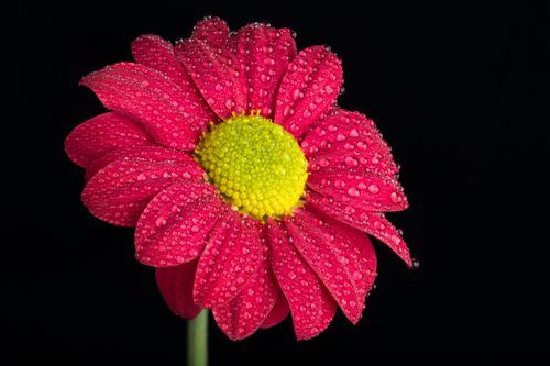 Mdawmdawmdawmdaw7qgraepd6cacehr zcfbfywxu2fyveayeunrgwctqqqltnerwweter6yomfiojy24adow ljj7f22f2vd2s3k0fn 38ezqodftc2xeuhdjufahdziomokxodj3hs jg da6ji5eudq olwagpj5emn5pvk2tan  f1iyweqnu5aiq3y2sfchr9npv tbaklnito hqhjhqznre7wfoxskincylh9d6oyub0c rvgfqf65mz0hnt90l8zzy08vfo3mc6uw9keawgv8x8chsnrgekhz m0ruwtbedi4rfvmzws8aztprkarzfg9rqptsecn4u