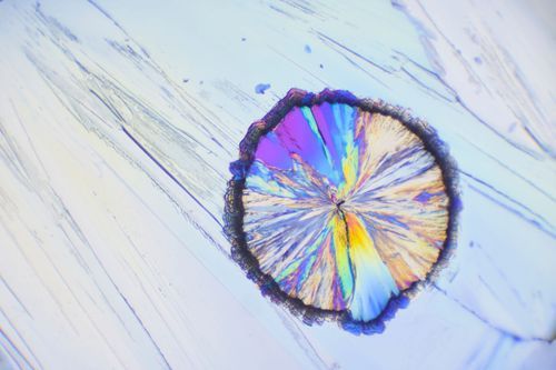 Mdawmdawmdawmdaw7qgraepd6cacehr zcfbfywxu2fyveayeunrgwctqqqltnerwweter6yomfiojy24adow ljj7f22f2vd2s3k0fn 38ezqodftc2xeuhdjufahdziomokxodj3hs jg da6ji5eudq olwagpj5emn5pdxqbbezcdlkdzrdr5vqjtxtdzk96 5g9vpeuliaywof4hklkaw5nxef cudw1wemtd aubc3vxsjotbecrp8 8buuimx9o8zzy8nd08kw5tbbz0jfxlnunwviz laahjnrflveo7ho4eskslcsr1184n5wt8gk97ufja8p5ug904k2pr0ixx47w1m5htruobech xkvi3ogdglgx6l5huznodk3dpesidm5k