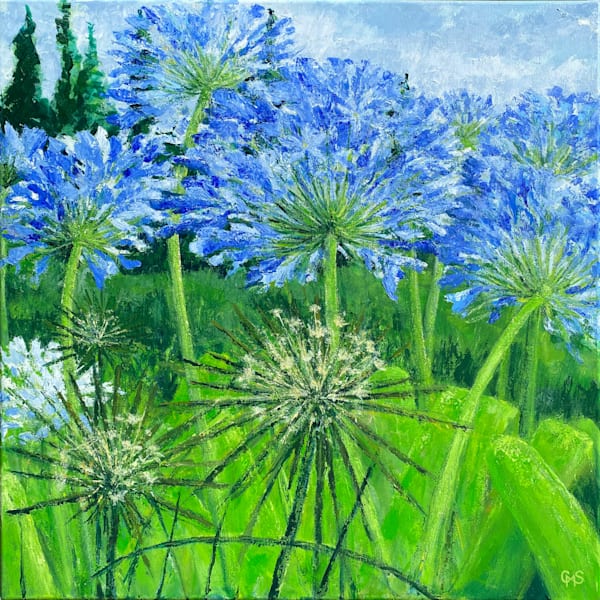 Agapanthus At Architectural Plants Art | Caroline Salmon Art