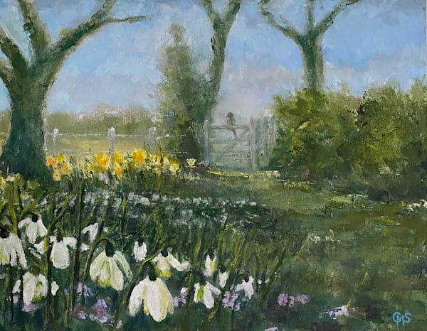 Misty Spring Morning With Snowdrops And Daffodils | Caroline Salmon Art