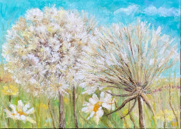Seed Heads Art | Caroline Salmon Art