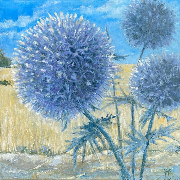 Puffball Thistle   Echinops Bannaticus Art | Caroline Salmon Art