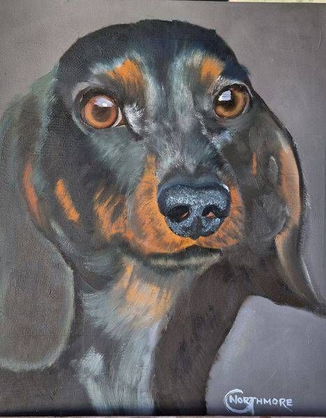 Daschund Study | NorthorpeArt