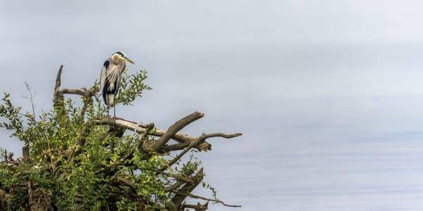 Open Water Photography Art | Spielman Photography
