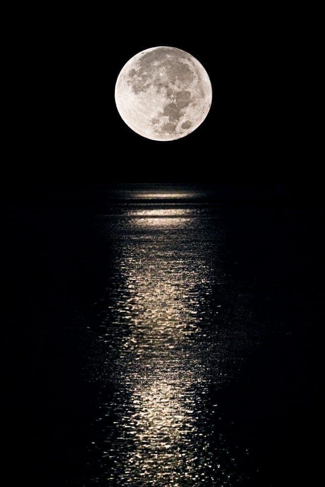Tidal Moonbeam - Serene Night Photography