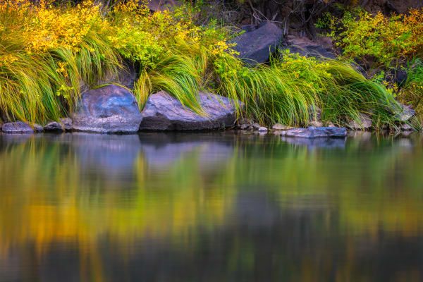 River Grass Art | Ed Baile Images