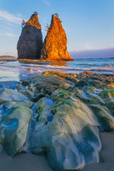 Sculpted Beach Art | Ed Baile Images