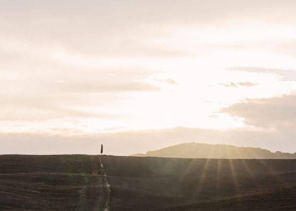 Standing In The Light Photography Art | The Gallery by Krissy Millar Photography
