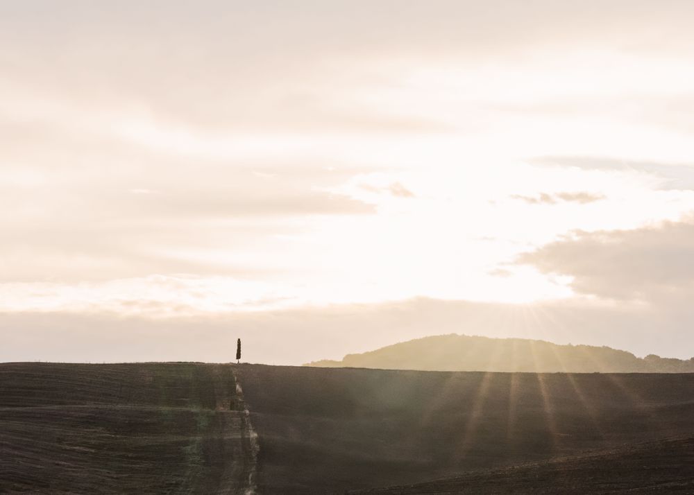 Standing In The Light Photography Art | The Gallery by Krissy Millar Photography