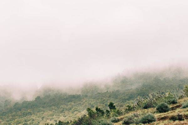 All Comfort Photography Art | The Gallery by Krissy Millar Photography