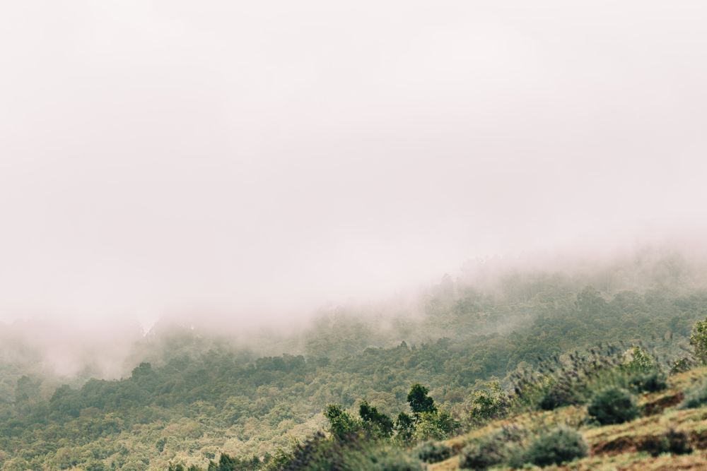 All Comfort Photography Art | The Gallery by Krissy Millar Photography