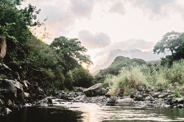 Steadied Soul Photography Art | The Gallery by Krissy Millar Photography