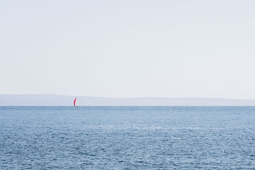Two Tails And A Sail Photography Art | The Gallery by Krissy Millar Photography