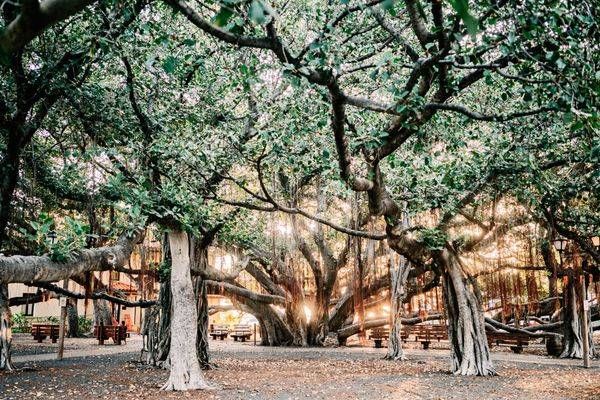 Hope In Him Photography Art | The Gallery by Krissy Millar Photography