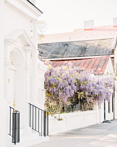 Abide Photography Art | The Gallery by Krissy Millar Photography