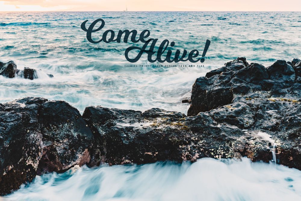 Ezekiel Come Alive Photography Art | The Gallery by Krissy Millar Photography