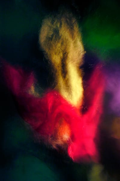 Discover nature's passion with Fuxiale. Moody’s luxurious, mysterious wall art.