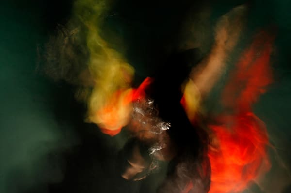 Are you looking to add a mysterious and captivating touch to your home? Look no further than Dark Horse! 