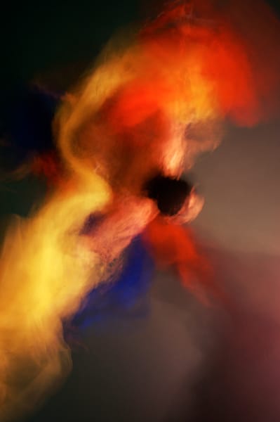 Step into a dreamy splendor and creative beauty with Papillon!