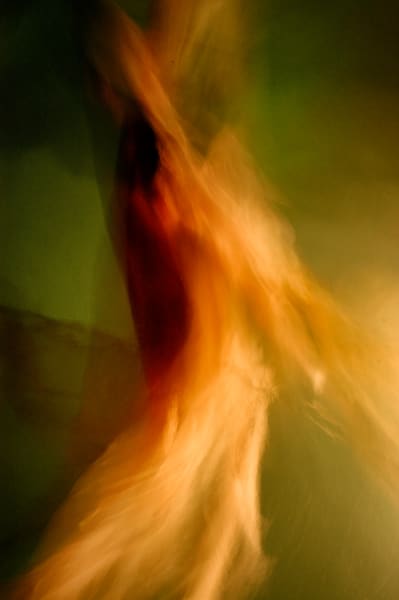 Transform your home with life and motion! Twist brings a unique beauty and charm to any living space.