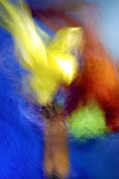 Get ready to dive into the dreamy wonder of Dove! Bring your space to life with our vibrant Dove artwork