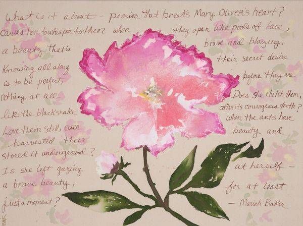 Mary Oliver's Peonies Art | Brenda Myrick Art