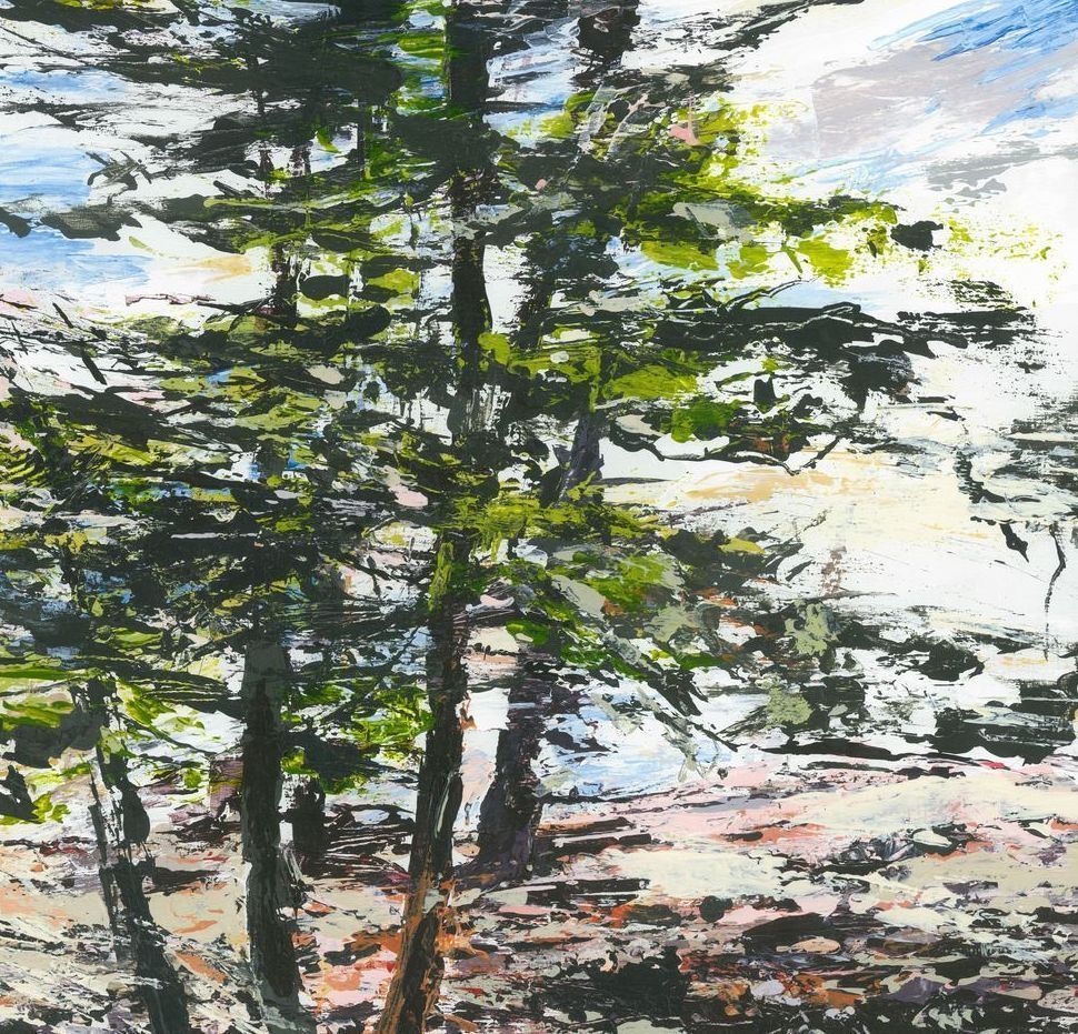 Gifts-Acadia Trees #2