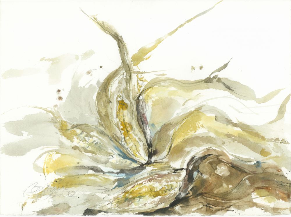 Organic Watercolor Art: Capturing the Spirit of the Corn plant