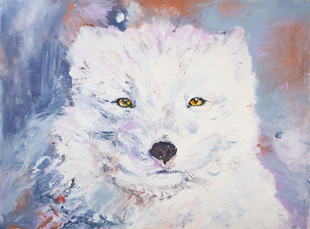 Arctic Fox Art | Brenda Myrick Art