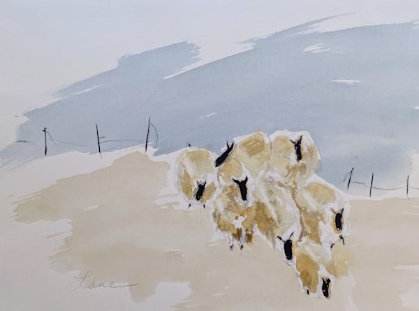 Sheep Art | Brenda Myrick Art