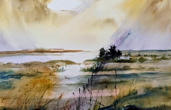 Dead Creek Addison Vt. Art | Brenda Myrick Art