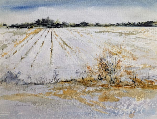Cornfield Art | Brenda Myrick Art
