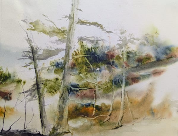 Vt. Forest Art | Brenda Myrick Art
