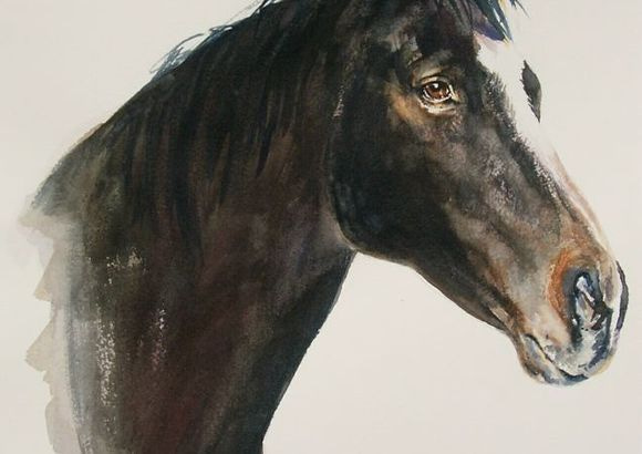 Gifts-Horse