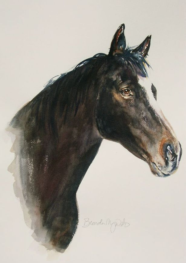 Gifts-Horse