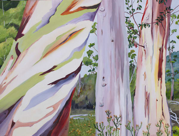 Flora and fauna collection Art | carolinepaxart
