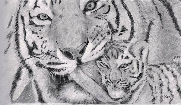 African animals Art | carolinepaxart