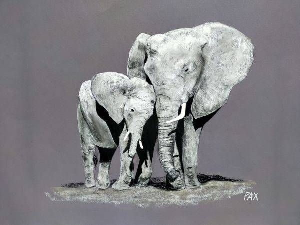 African animals Art | carolinepaxart