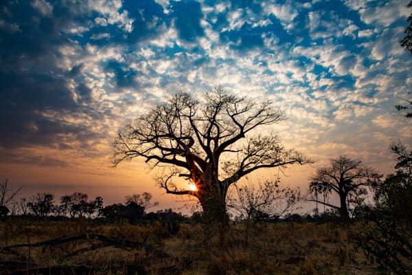 Landscapes