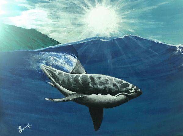 Bully Shark Art | Lucas Fine Arts 