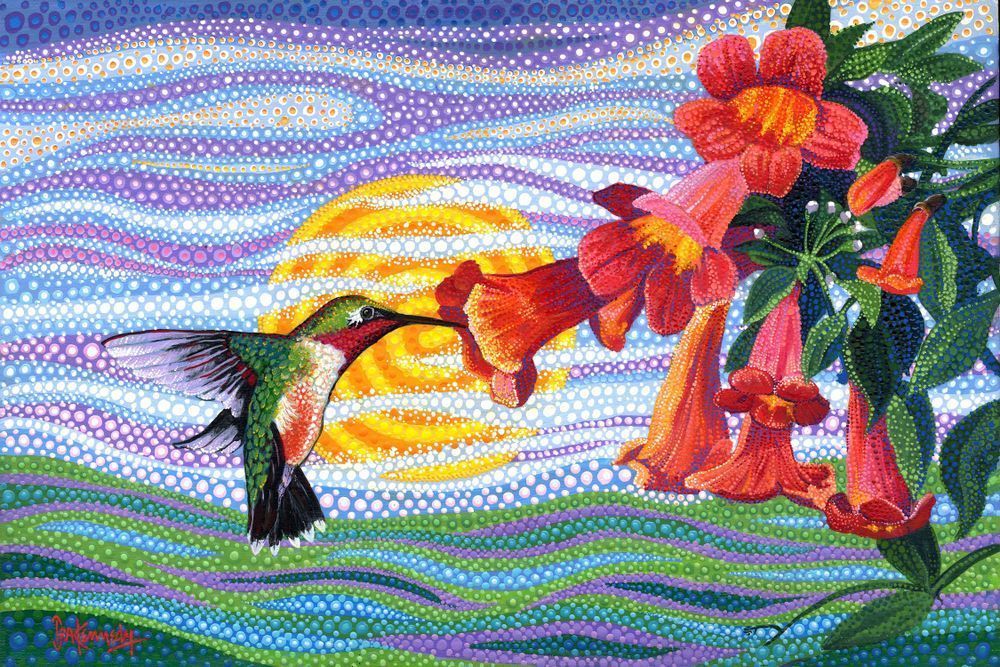 Crossvine Hummingbird Art | Ira Kennedy