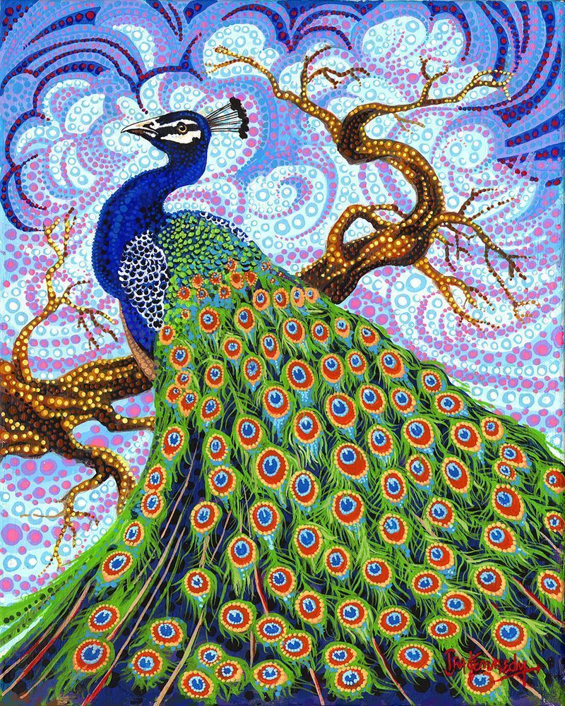 Peacock Art | Ira Kennedy