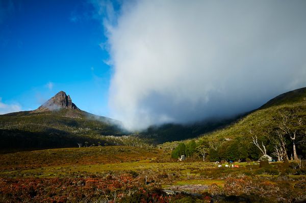 Tassie Series
