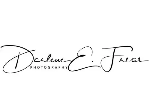 Darlene E Freas Photography