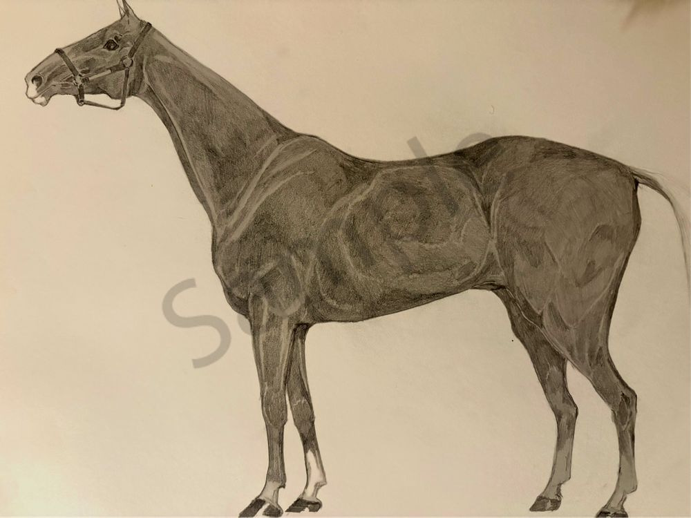 Thoroughbred Art | Elements Art