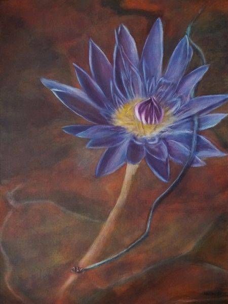 Transformation Art | ANnew Art
