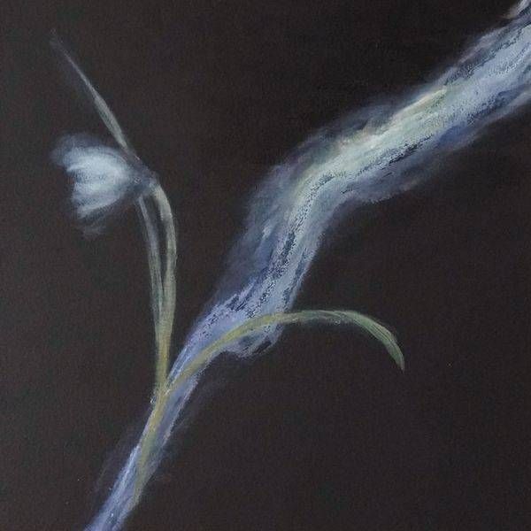Echo Of Hope Art | ANnew Art