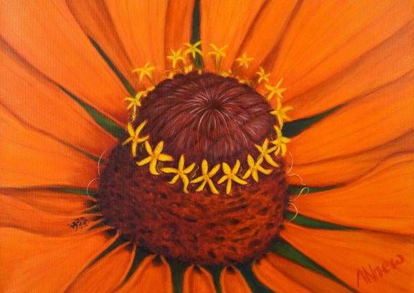 Orange Zinnia Dancing With Joy | ANnew Art